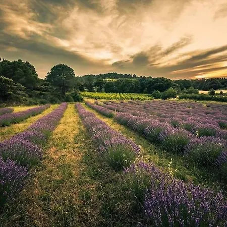 Apartment Confort ! Calme, Climatisation, Piscine, Parking Gratuit, Grande Terrasse, Netflix, Wifi *
