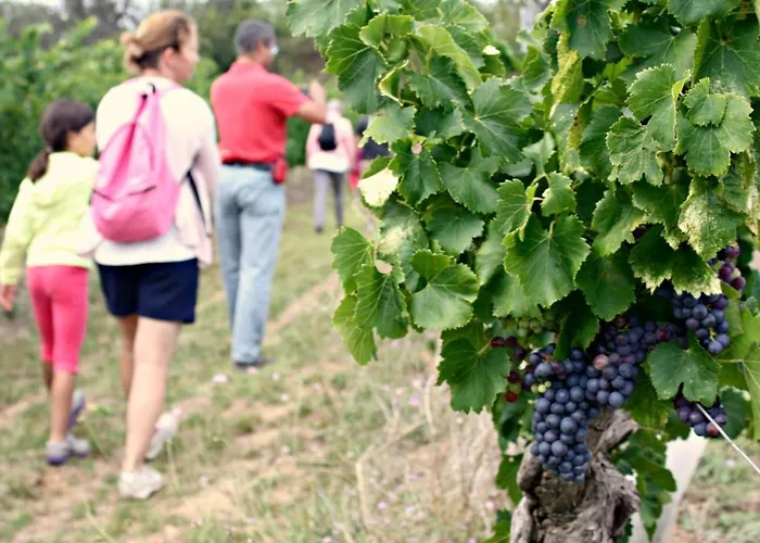 Confort ! Calme, Climatisation, Piscine, Parking Gratuit, Grande Terrasse, Netflix, Wifi Apartamento