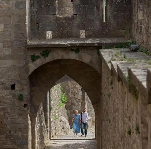 Confort ! Calme, Climatisation, Piscine, Parking Gratuit, Grande Terrasse, Netflix, Wifi Carcasona