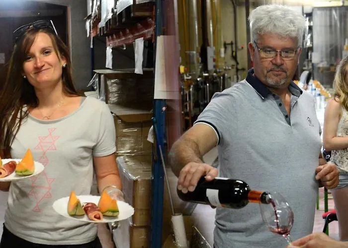 Apartamento Confort ! Calme, Climatisation, Piscine, Parking Gratuit, Grande Terrasse, Netflix, Wifi Carcasona