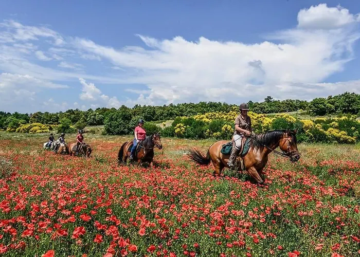 Confort ! Calme, Climatisation, Piscine, Parking Gratuit, Grande Terrasse, Netflix, Wifi * Carcasona